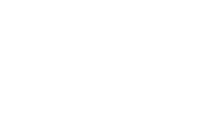 expert roofing logo upscaled white